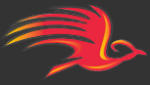 Phoenix Consolidated Trading logo