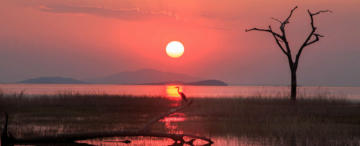 Sunset in Zimbabwe with a bird and lake