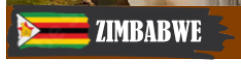 Zimbabwe flag image